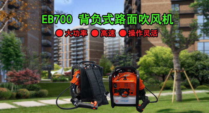 路面吹風(fēng)機,EB700路面吹風(fēng)機(圖1)