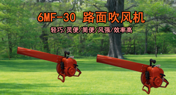 手提吹風(fēng)機，6MF-30汽油吹風(fēng)機(圖1)