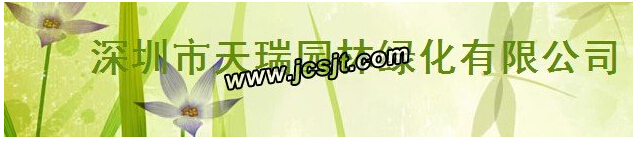 清潔設備 深圳天瑞園林綠化公司與我司長(cháng)期合作(圖1)