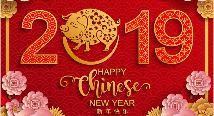 深圳潔臣士 2019新春迎豬年(圖1)