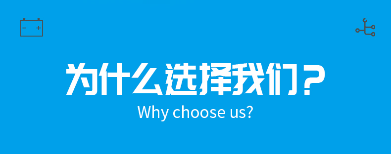 深圳鋰電池 理仕充電器,鋰電池充電器廠(chǎng)家(圖2)
